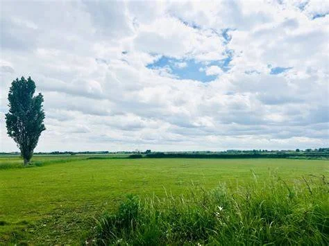 Our dedicated team of childcare professionals